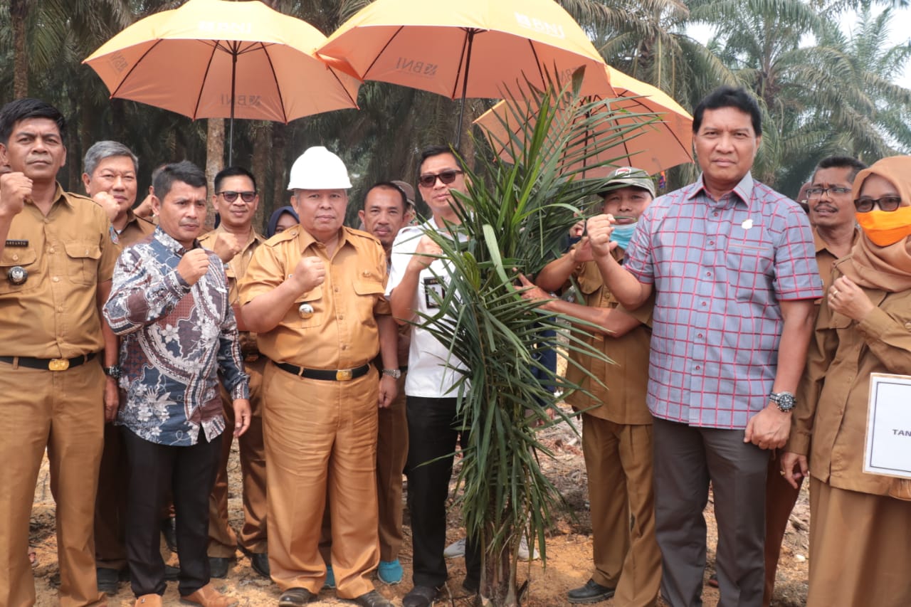 Bupati Safrial hadiri penanaman perdana replanting kelapa sawit di Rendah Mendaluh