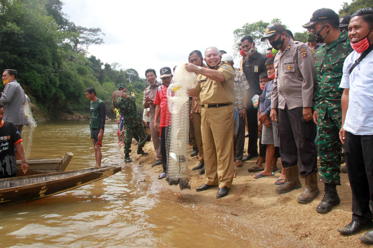 Bupati Safrial Mulai kegiatan Panen Ikan Sungai Lubuk Larangan Raja Gagak Dusun Mudo